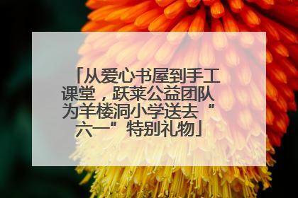 从爱心书屋到手工课堂，跃莱公益团队为羊楼洞小学送去“六一”特别礼物