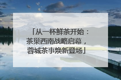 从一杯鲜茶开始：茶巢西南战略启幕，蓉城茶事焕新登场