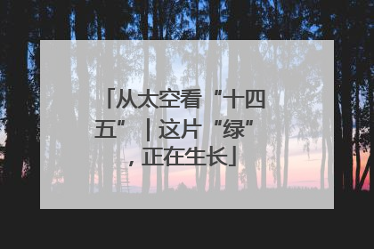 从太空看“十四五”｜这片“绿”，正在生长