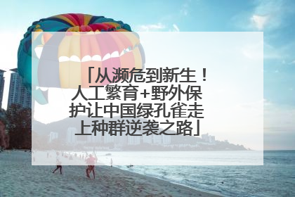 从濒危到新生！人工繁育+野外保护让中国绿孔雀走上种群逆袭之路