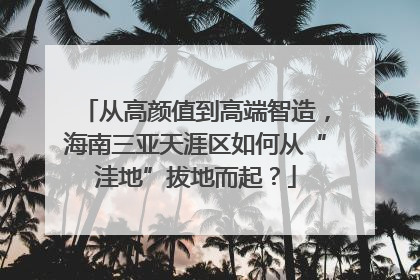 从高颜值到高端智造，海南三亚天涯区如何从“洼地”拔地而起？