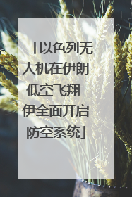 以色列无人机在伊朗低空飞翔 伊全面开启防空系统