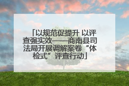 以规范促提升 以评查强实效——商南县司法局开展调解案卷“体检式”评查行动
