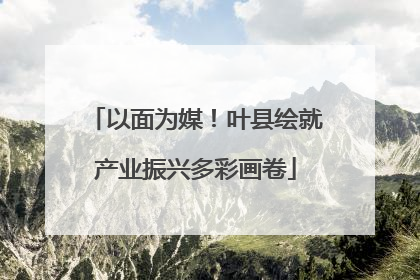 以面为媒！叶县绘就产业振兴多彩画卷