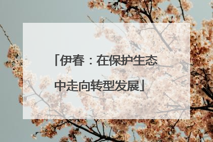 伊春：在保护生态中走向转型发展