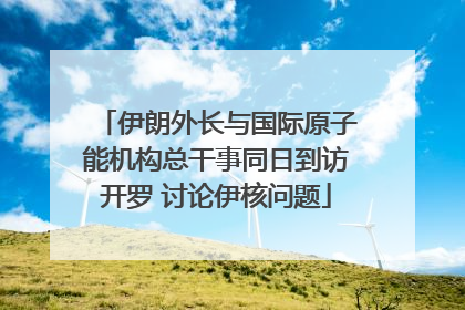 伊朗外长与国际原子能机构总干事同日到访开罗 讨论伊核问题