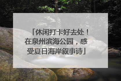 休闲打卡好去处！在泉州滨海公园，感受夏日海岸叙事诗