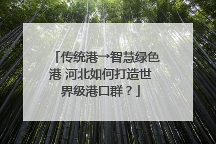 传统港→智慧绿色港 河北如何打造世界级港口群？