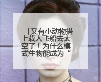 又有小动物搭上载人飞船去太空了！为什么模式生物能成为“探索代表”？