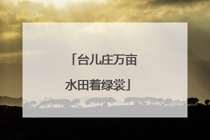 台儿庄万亩水田着绿裳