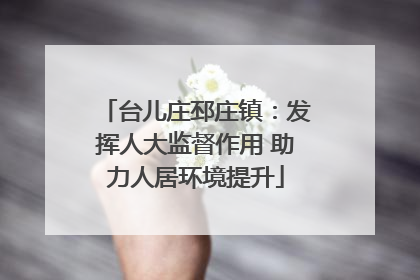 台儿庄邳庄镇：发挥人大监督作用 助力人居环境提升
