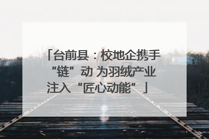 台前县：校地企携手“链”动 为羽绒产业注入“匠心动能”