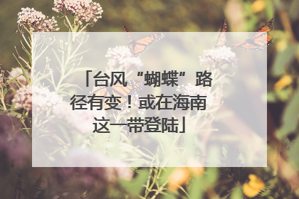 台风“蝴蝶”路径有变！或在海南这一带登陆