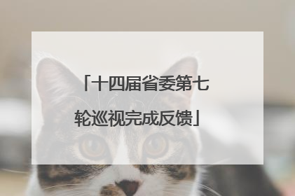 十四届省委第七轮巡视完成反馈