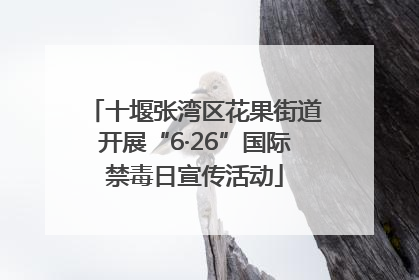 十堰张湾区花果街道开展“6·26”国际禁毒日宣传活动