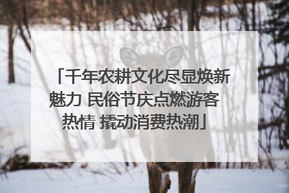 千年农耕文化尽显焕新魅力 民俗节庆点燃游客热情 撬动消费热潮