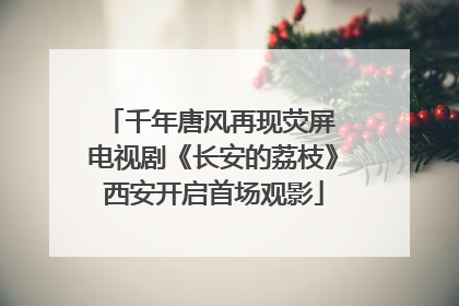 千年唐风再现荧屏 电视剧《长安的荔枝》西安开启首场观影