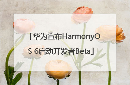 华为宣布HarmonyOS 6启动开发者Beta