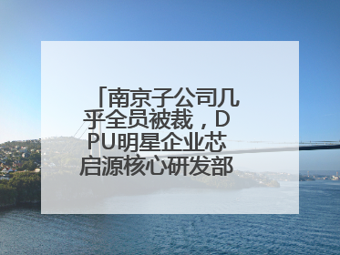 南京子公司几乎全员被裁，DPU明星企业芯启源核心研发部门已人去楼空