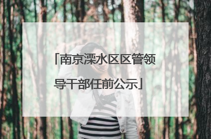 南京溧水区区管领导干部任前公示