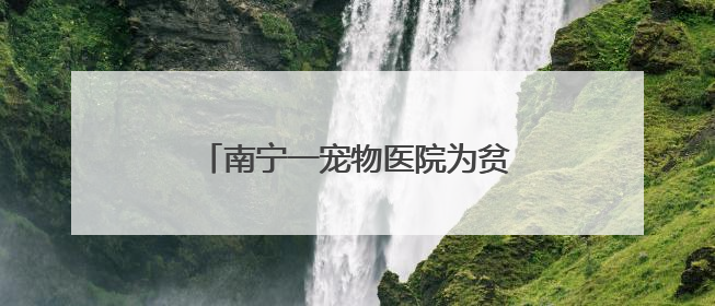 南宁一宠物医院为贫血警犬征集血源，有人带狗狗前来抽血配型