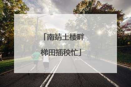 南靖土楼畔 梯田插秧忙