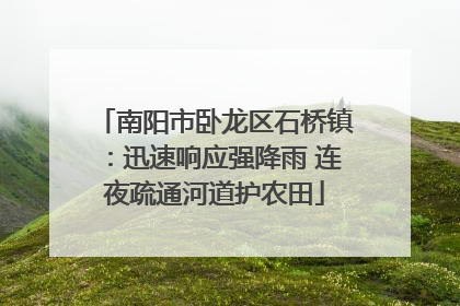 南阳市卧龙区石桥镇：迅速响应强降雨 连夜疏通河道护农田