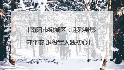 南阳市宛城区：迷彩身影守平安 退役军人践初心