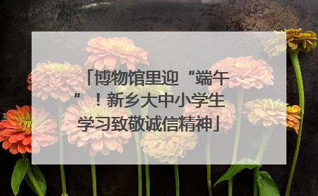 博物馆里迎“端午”！新乡大中小学生学习致敬诚信精神