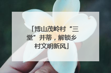 博山茂岭村“三堂”并蒂，解锁乡村文明新风