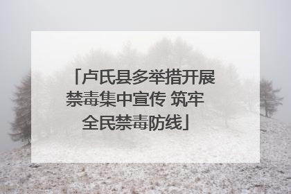 卢氏县多举措开展禁毒集中宣传 筑牢全民禁毒防线