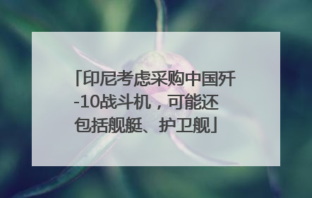 印尼考虑采购中国歼-10战斗机，可能还包括舰艇、护卫舰