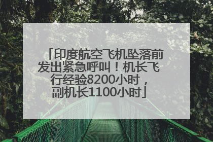 印度航空飞机坠落前发出紧急呼叫！机长飞行经验8200小时，副机长1100小时