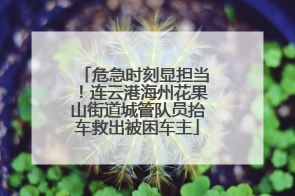 危急时刻显担当！连云港海州花果山街道城管队员抬车救出被困车主