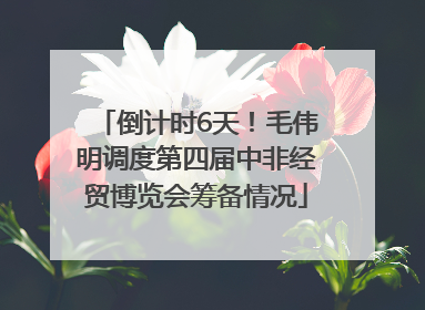 倒计时6天！毛伟明调度第四届中非经贸博览会筹备情况