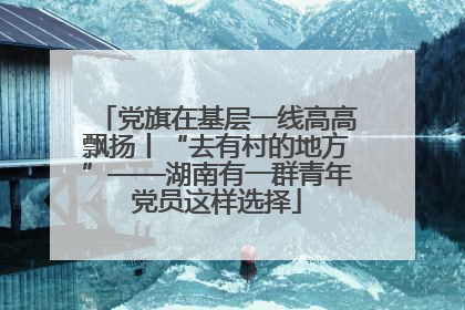 党旗在基层一线高高飘扬丨“去有村的地方”——湖南有一群青年党员这样选择