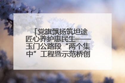 党旗飘扬筑坦途 匠心养护惠民生——玉门公路段“两个集中”工程暨示范桥创建项目圆满收官