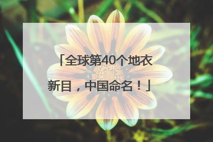全球第40个地衣新目，中国命名！