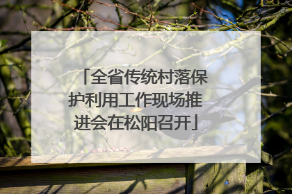 全省传统村落保护利用工作现场推进会在松阳召开