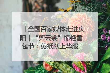 全国百家媒体走进庆阳｜“剪云裳”惊艳香包节：剪纸跃上华服 非遗焕发新彩