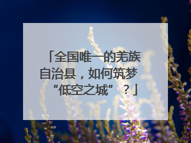 全国唯一的羌族自治县，如何筑梦“低空之城”？