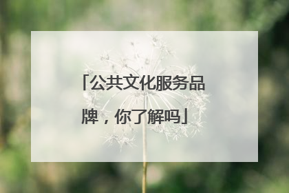 公共文化服务品牌，你了解吗