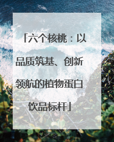 六个核桃：以品质筑基、创新领航的植物蛋白饮品标杆