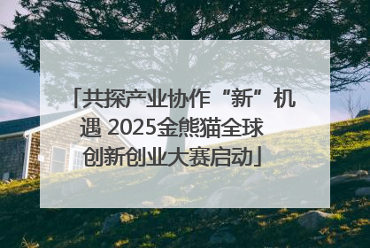 共探产业协作“新”机遇 2025金熊猫全球创新创业大赛启动