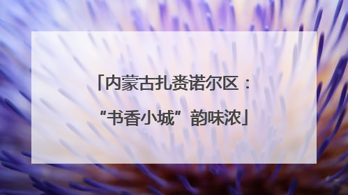 内蒙古扎赉诺尔区：“书香小城”韵味浓