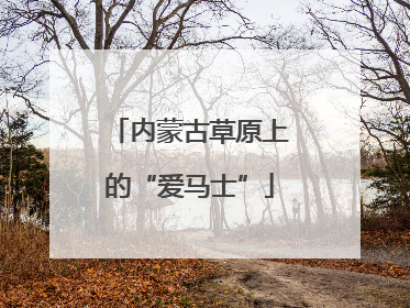 内蒙古草原上的“爱马士”