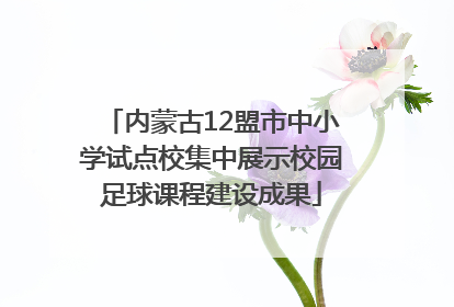 内蒙古12盟市中小学试点校集中展示校园足球课程建设成果