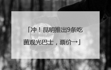 冲！昆明推出9条吃菌观光巴士，票价→