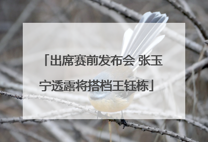 出席赛前发布会 张玉宁透露将搭档王钰栋