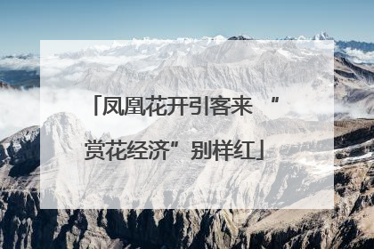 凤凰花开引客来 “赏花经济”别样红